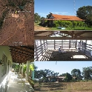 Fazenda 560 ha em brasilândia de minas - mg