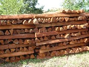 Foto 3 - Anncio 45-256659