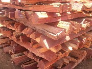 Foto 5 - Anncio 45-256659